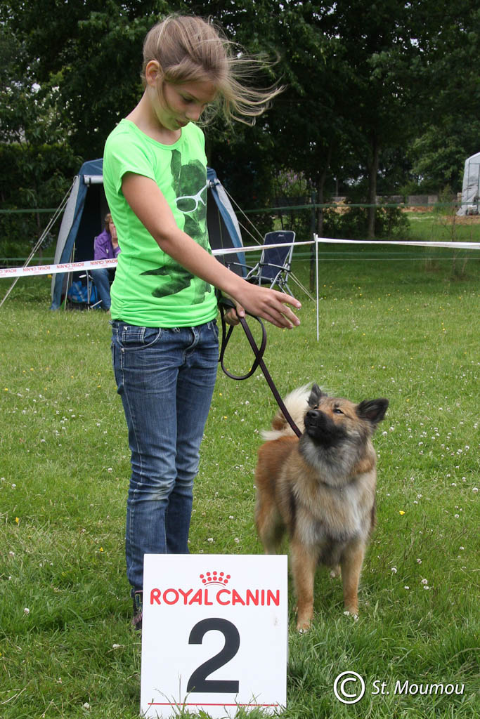 Juniorhandling 2012 (8)
