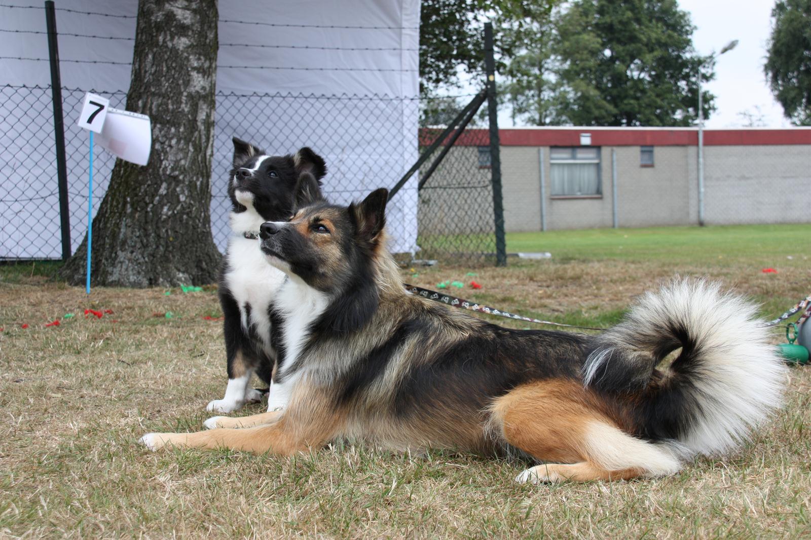 20120902_339